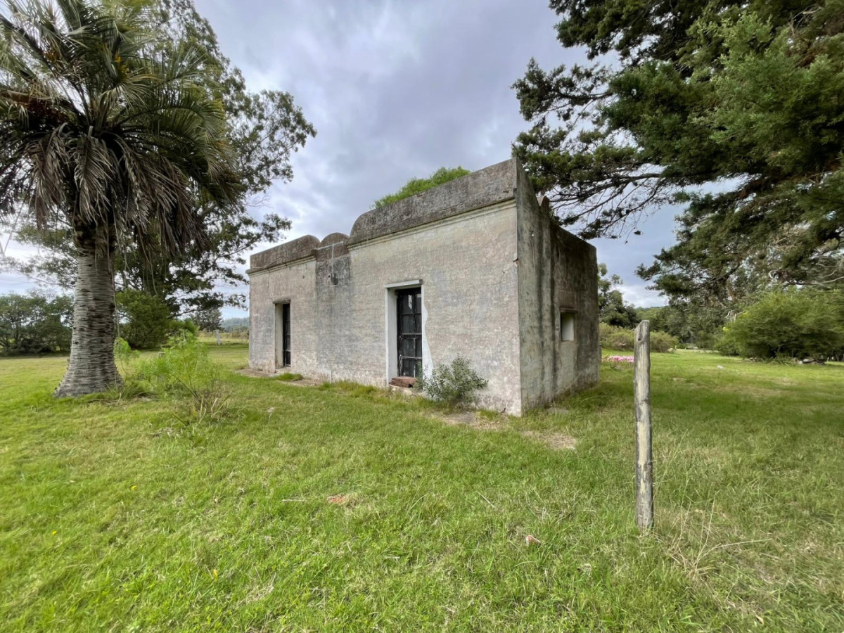 VENTA CHACRA DE 7 HECTAREAS PUNTA BALLENA 