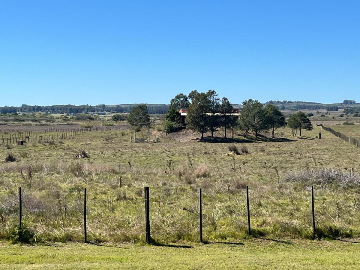 VENTA CHACRA 40 HECTAREAS RUTA 39