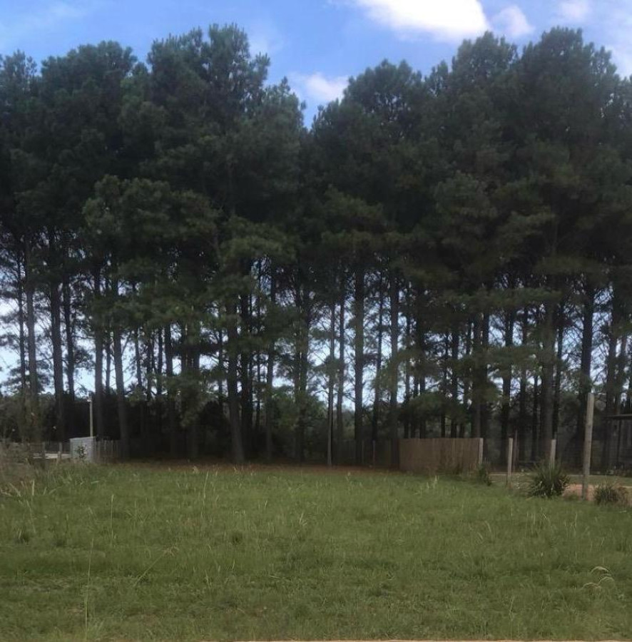 Venta de terreno en Chacras del Pinar