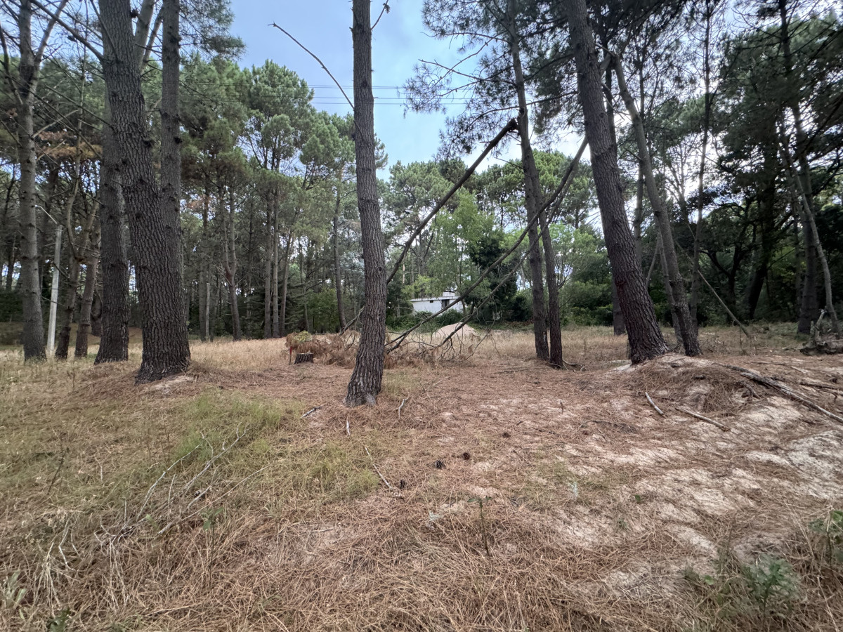 Venta Terrreno Punta Ballena