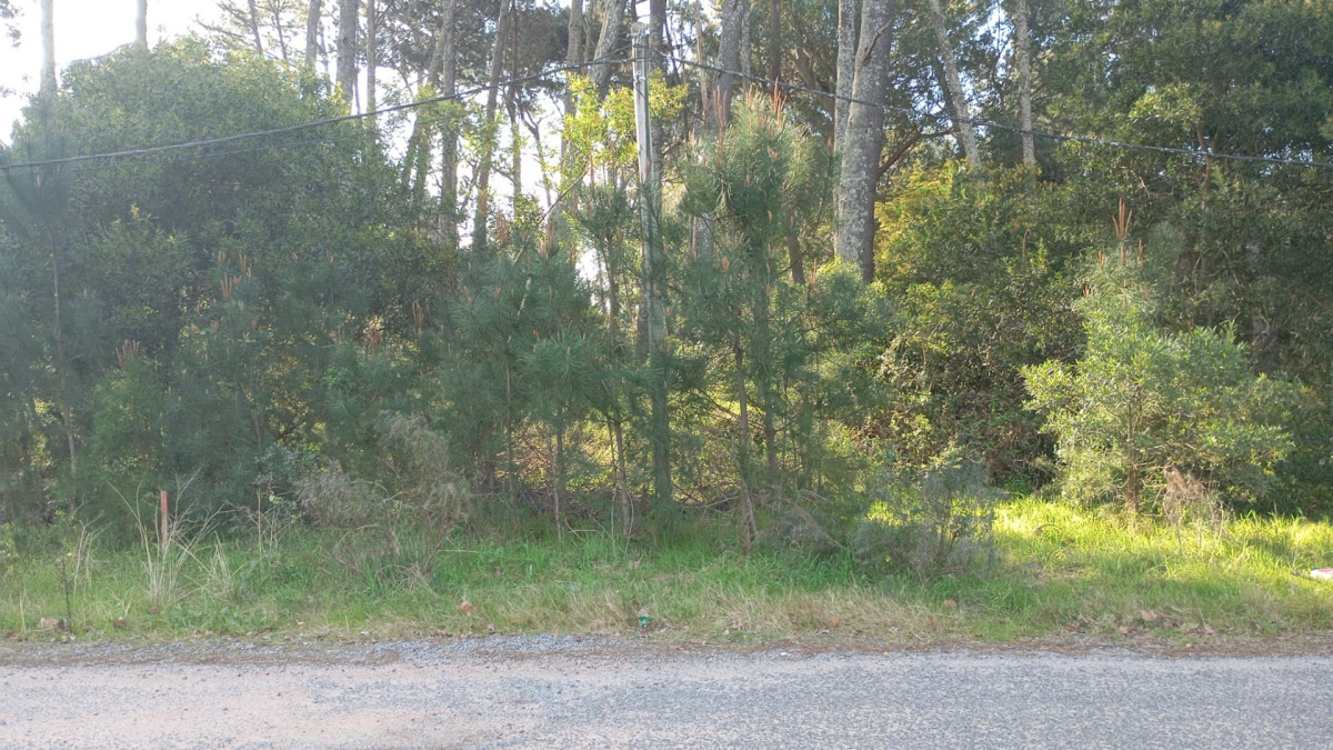 Terreno en Venta en Parque Burnett Apto para PH