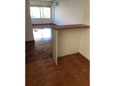 Alquiler Apartamento Monoambiente Punta Carretas Montevideo 