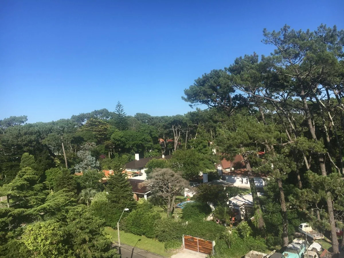 Apartamento de 1 dormitorio y terraza super soleado