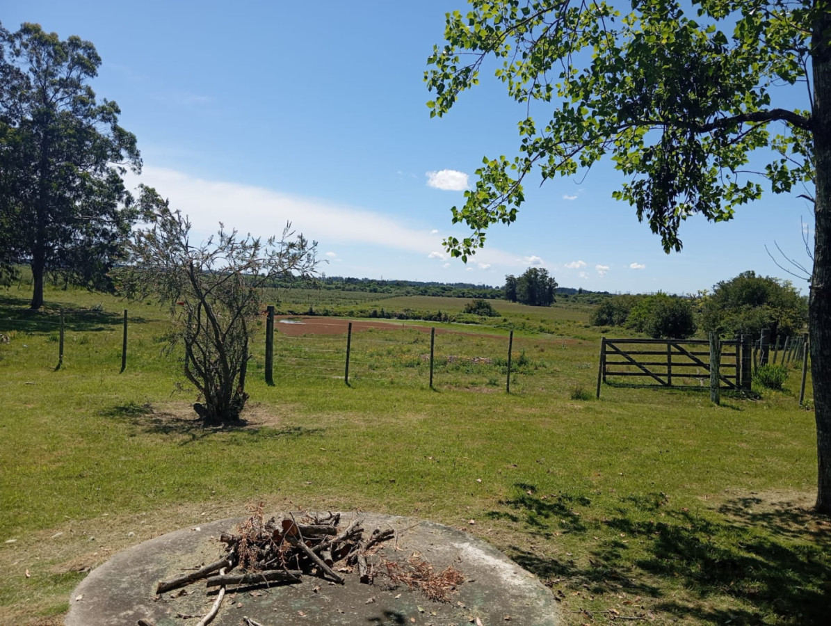 Chacra en Venta de 18 hectareas Maldonado Camino Los Ceibos