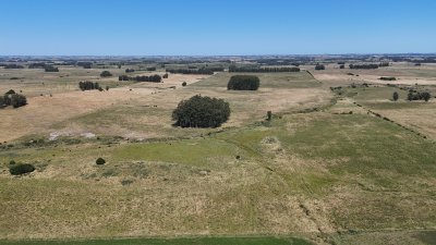 Venta de Campo de 100 hectareas de Campo Ganadero Agricola Zanja de Chavez 
