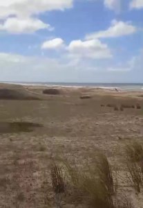 Venta de Campo Forestal costero Rocha . Punta del Diablo