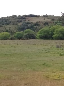 Venta de Campo de 11 hectareas en Ruta 60