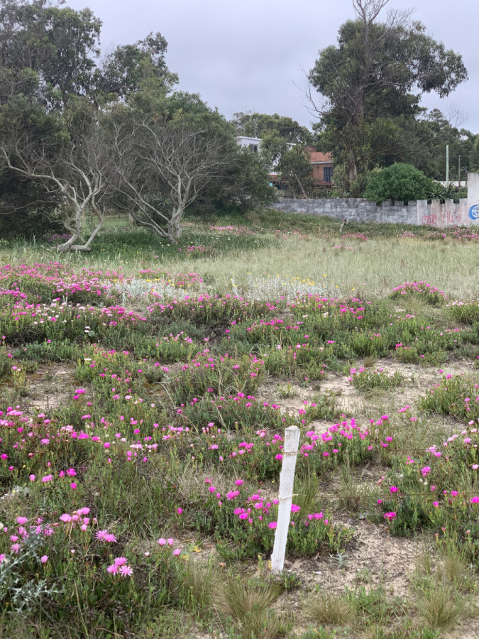 Venta de Terreno Frente al Mar Piriapolis 