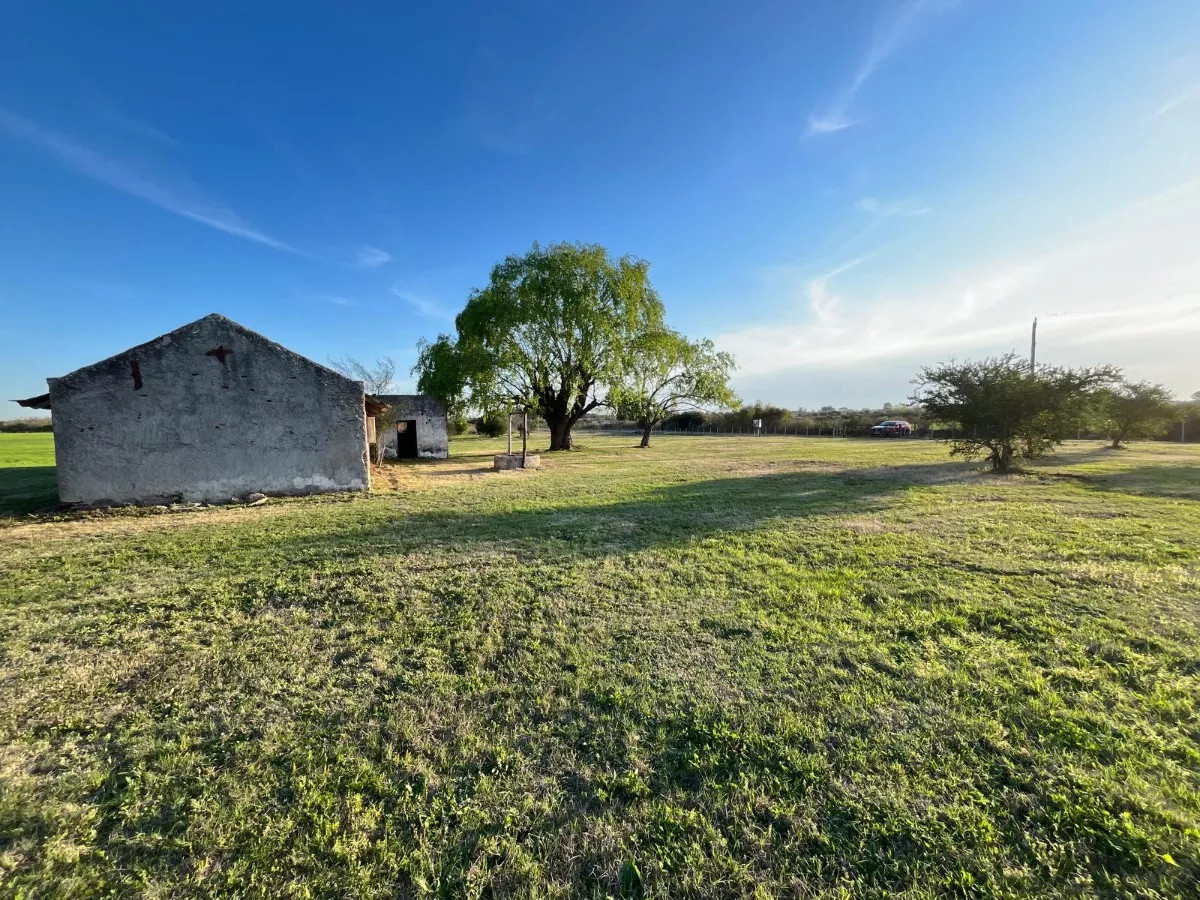 VENTA CHACRA COLONIA ESTRELLA CARMELO, COLONIA  