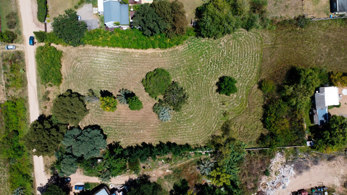 Venta de terreno 5924m2 en El Tesoro, La Barra: Compra conjunta (3) o parcial (2+1)