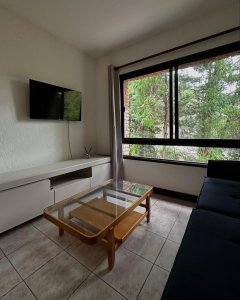 ALQUILER UN AMBIENTE EN PUNTA DEL ESTE 