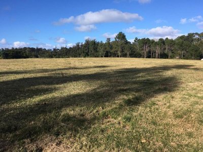 Lotes de 4000 m2. FRACCIONAMIENTO LOS TILOS ZONA RINCON DEL INDIO