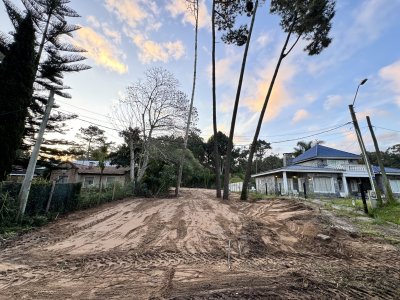 Punta del Este- Terreno de 650 m2 en parada 32, Pinares