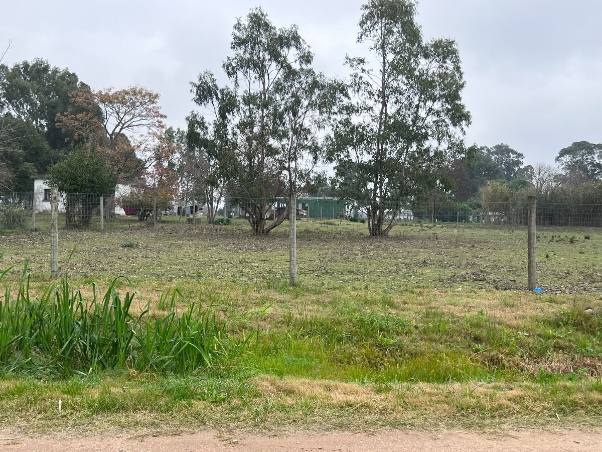 Terreno 2300 M2, Zona De Fábricas, Escuela Y Ruta 101, Barros Blancos