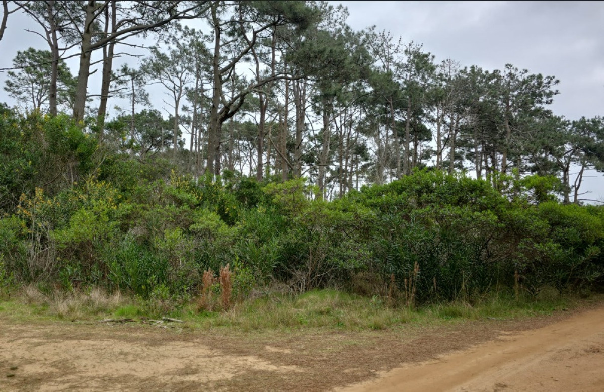 Lote esquinero en Costa Bonita a 3 cuadras de ruta 10 y mar