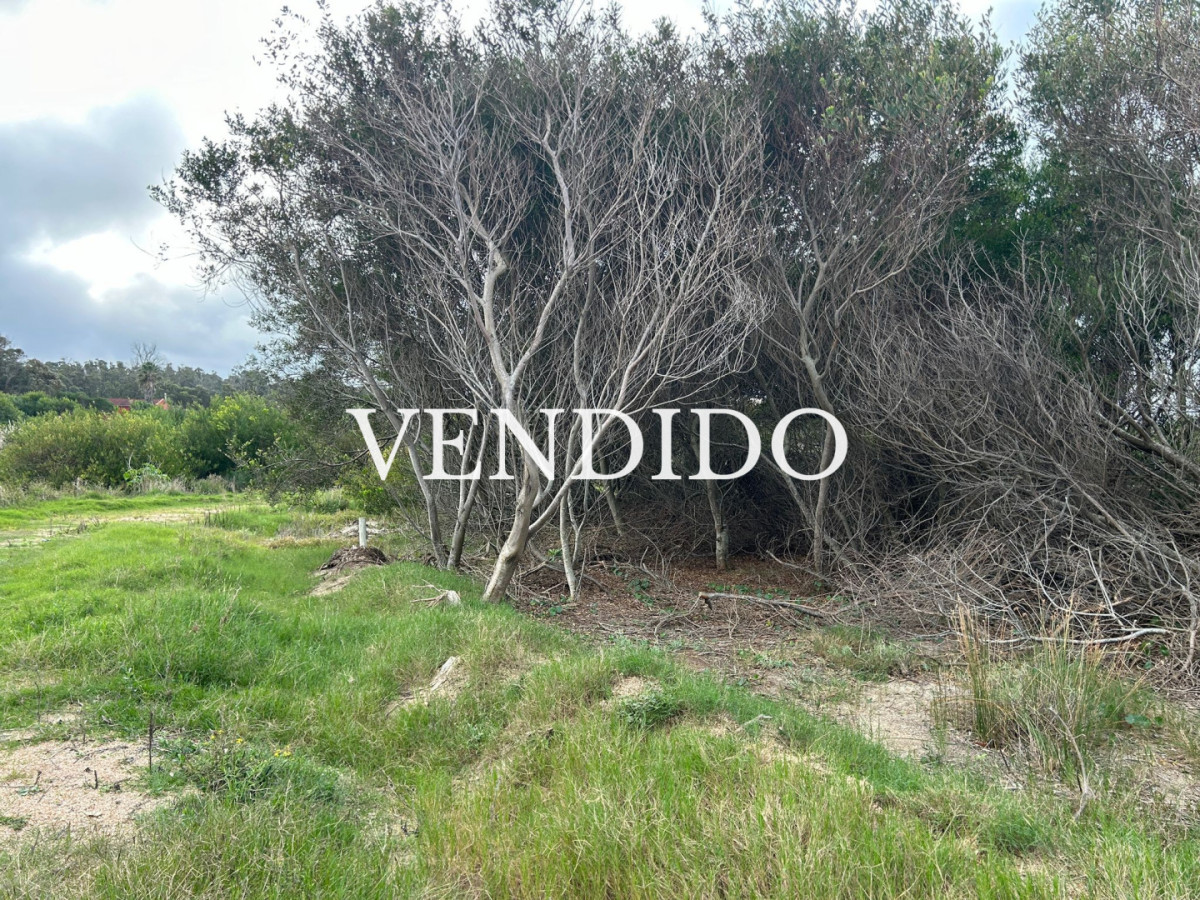Lote en Santa Mónica -zona de gran crecimiento