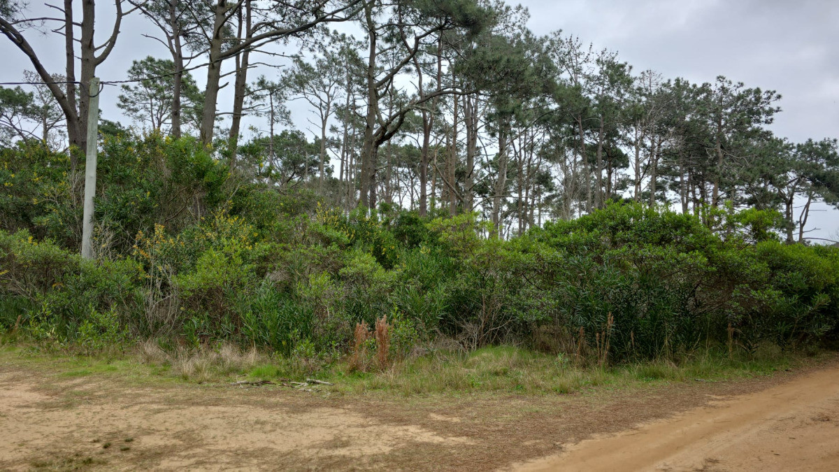 2 Lotes contiguos (esquinera-doble frente) en Costa Bonita próximo a José Ignacio
