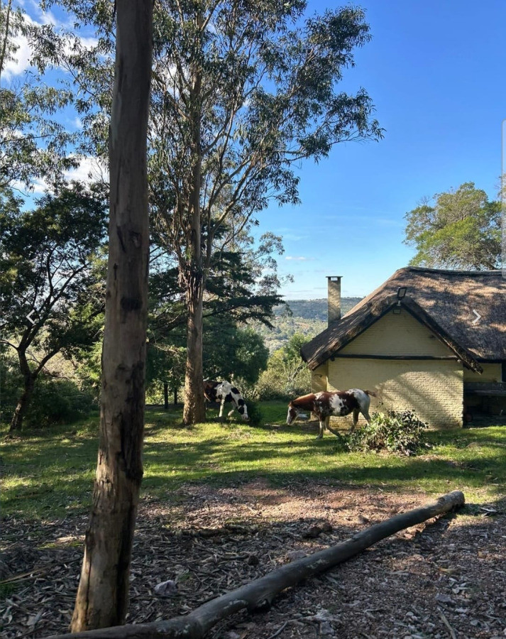 Se vende hermosa casa en Villa Sereana