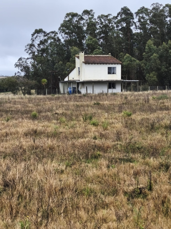 Venta Chacra 3 Ha Corte de la Leña con casa 