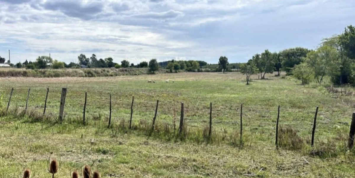 Se alquila Chacra en Cumbres de Carrasco 