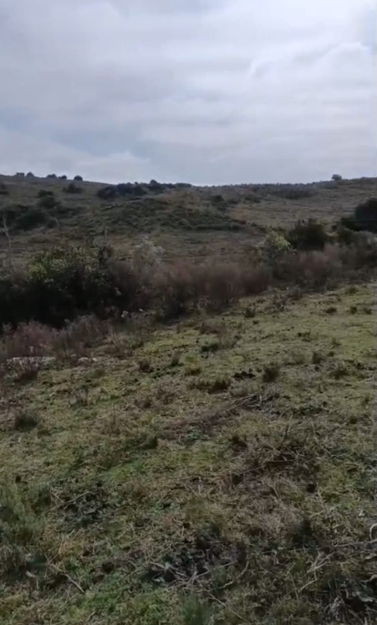 SE VENDE CHACRA DE 5 HA EN LAVALLEJA