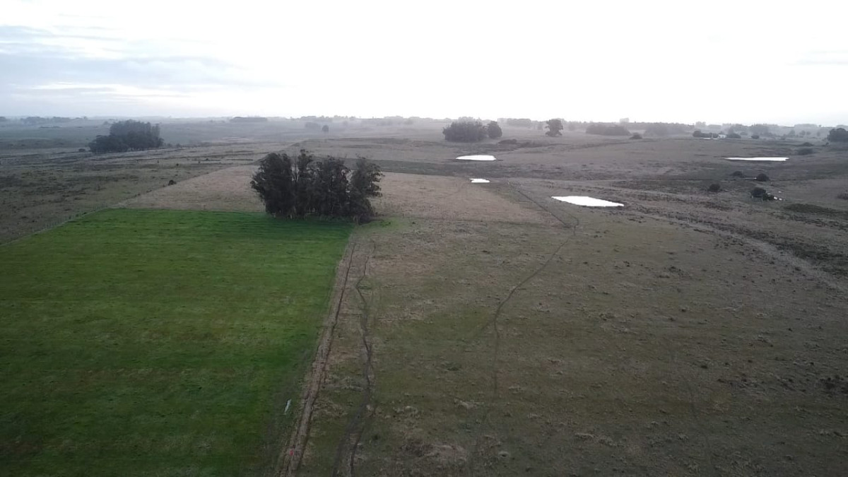 Venta de Chacra de 5 Ha en Jose Ignacio