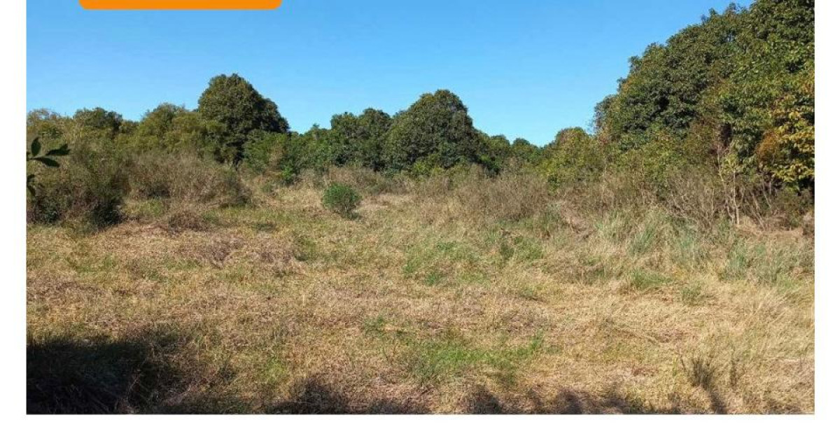 Venta de Chacra en Cañada Bellacas