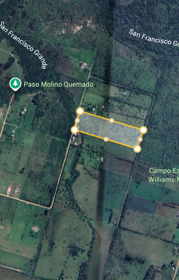 Chacra de 6 Hectáreas a Minutos de Paysandú | Naturaleza, Tranquilidad e Inversión