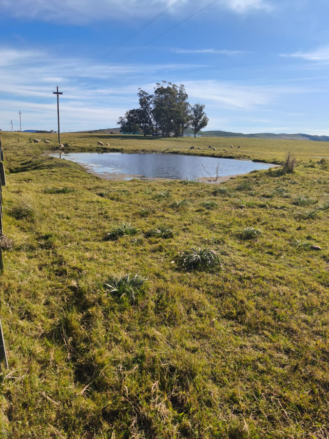 Hermosa Chacra de 5 Ha en Zanja de Chavez a 15 km de San Carlos