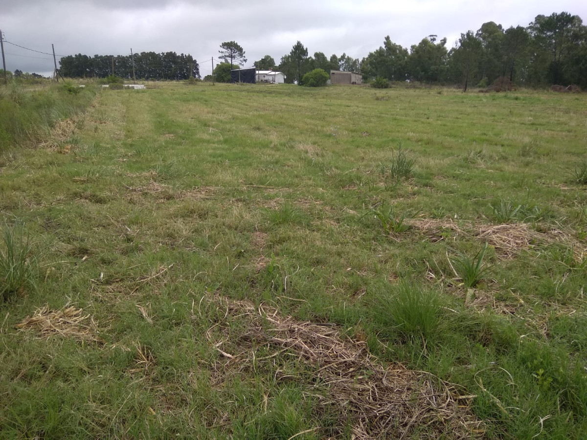 Campo 3 ha y 1/2 con galpon