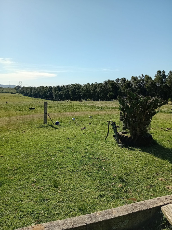 Venta Chacra  8 Has con casa en San Carlos