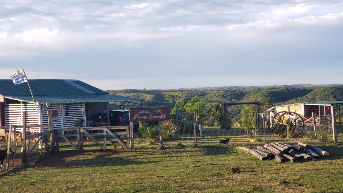 Se vende chacra 8 ha en cuchilla casa de piedra Tacuarembó 