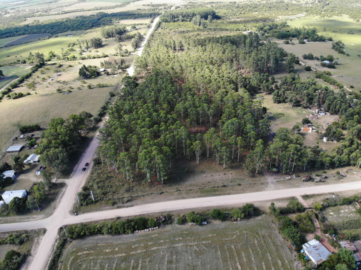 Hectarea zona Guerrero Paysandu