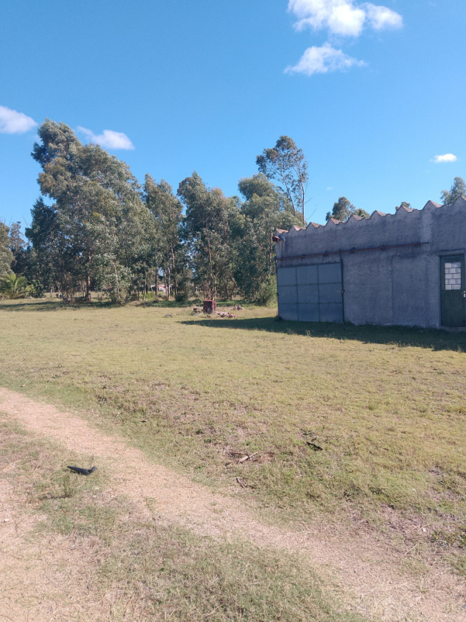 ONEX VENDE CHACRA DE 3 HEC Y MEDIAS