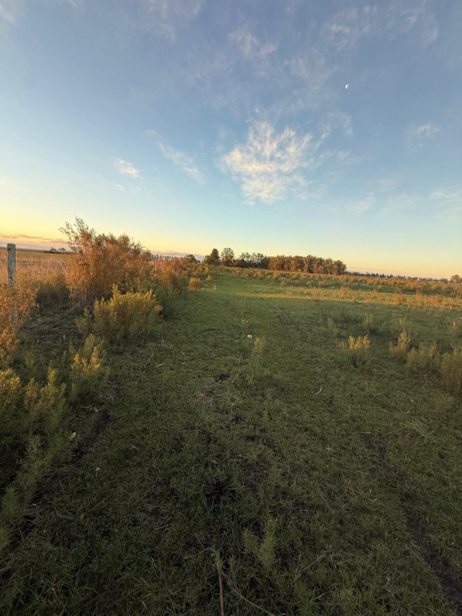 Se vende chacra en Sarandí de la china en Durazno 