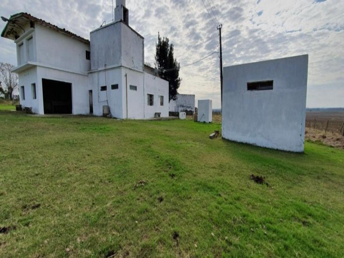 SE VENDE CAMPO AGRICOLA GANADERO EN SAN RAMÓN CANELONES 
