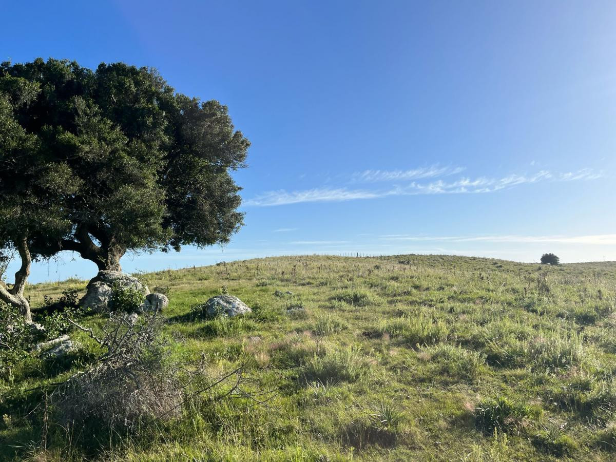 Venta de hermosas  chacras en Maldonado a de 5 HECT cada una hermosas vistas !!!
