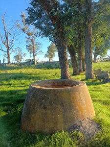 Oportunidad campo 216 hectáreas en Treinta y Tres ganadero sojero