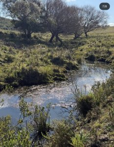 Venta Campo de 26Ha con casa en Minas