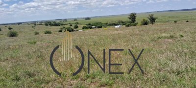 En Venta Campo en Averías - Rocha