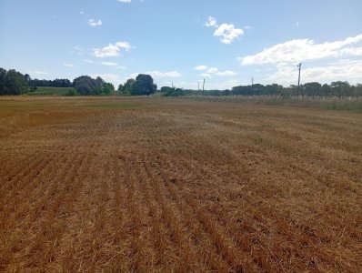 23 HECT. EN COLONIA AGRICOLA/GANADERO 