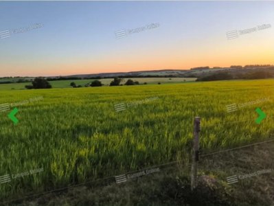 CAMPO AGRICOLA GANADERO EN PARAJE TRES ESQUINAS
