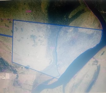Venta campo 37 Ha en San Carlos