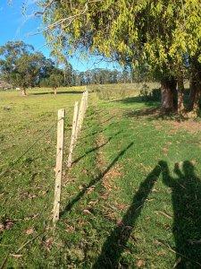 Chacra de 11 hectáreas en Castillos Rocha 