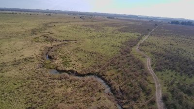 Campo 250 has en Tala, Canelones
