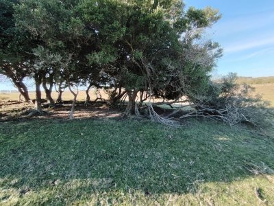 Venta de campo de 20 Ha en Paso del Tigre