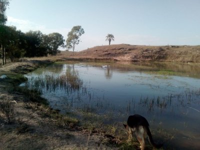 8 HECTAREAS EN VENTA CIUDAD DE GUICHON PAYSANDU