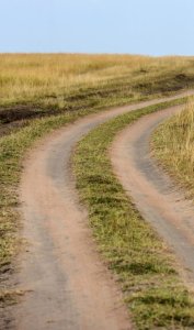 Venta de Campo 55Ha en Las Cañas