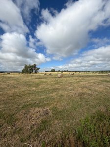 Campo Excepcional en Aiguá - 110 hectáreas Alto Potencial Productivo