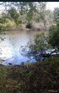 Venta de campo de 22 Ha en Zanja de Chavez